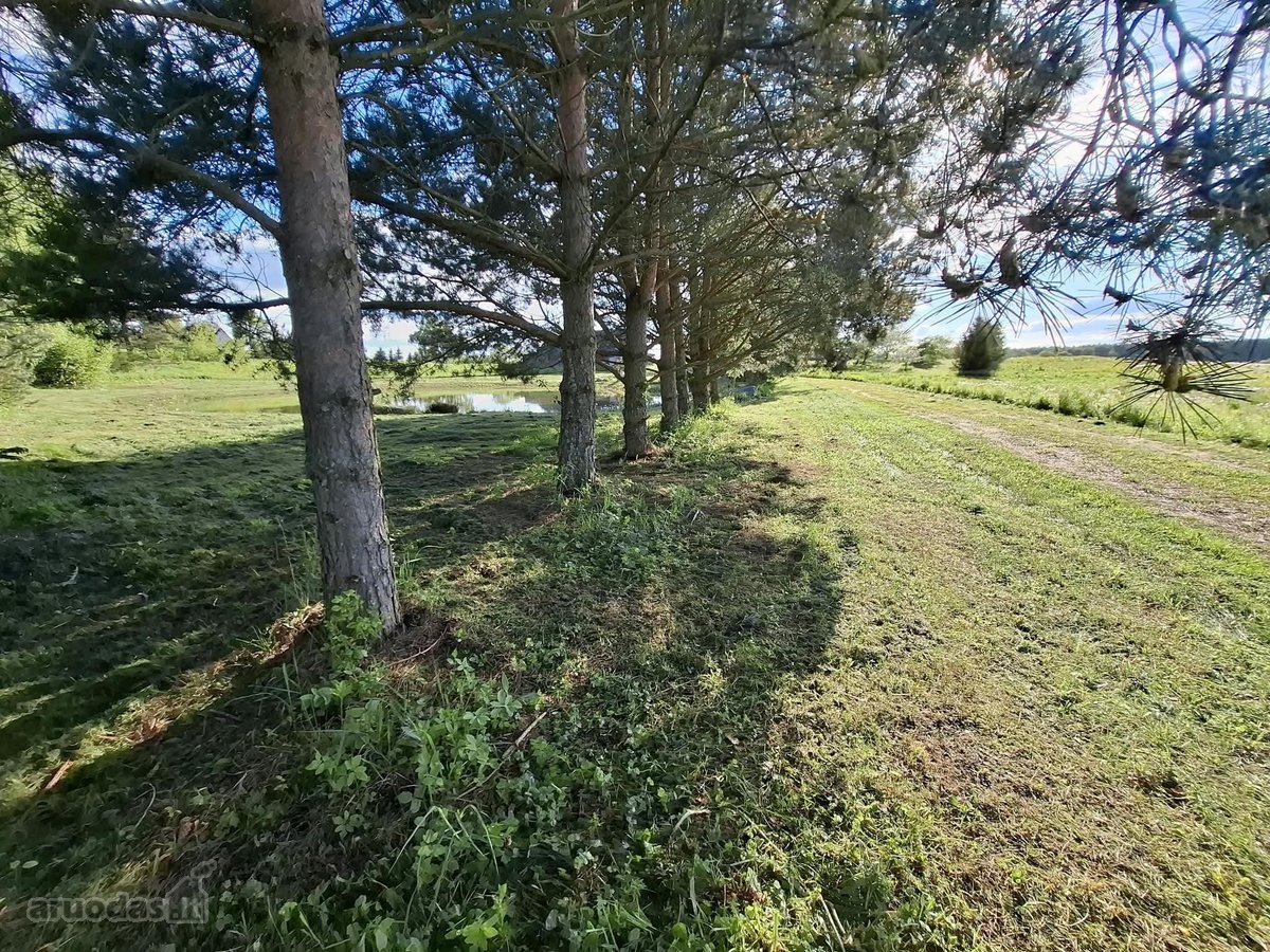 Parduodamas 5,5h sklypas su namu vos 3 km nuo - nuotraukos Nr. 4