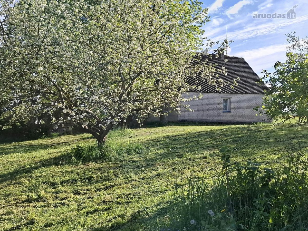 Parduodamas 5,5h sklypas su namu vos 3 km nuo - nuotraukos Nr. 6