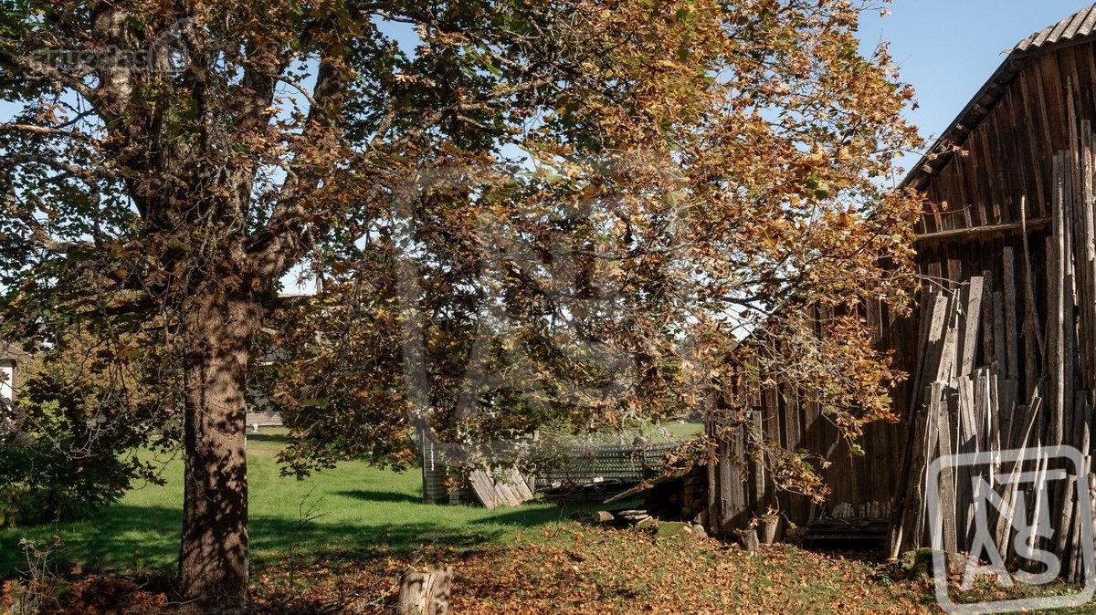 Itin Patogioje Vietoje, Kelio Vilnius - nuotraukos Nr. 28