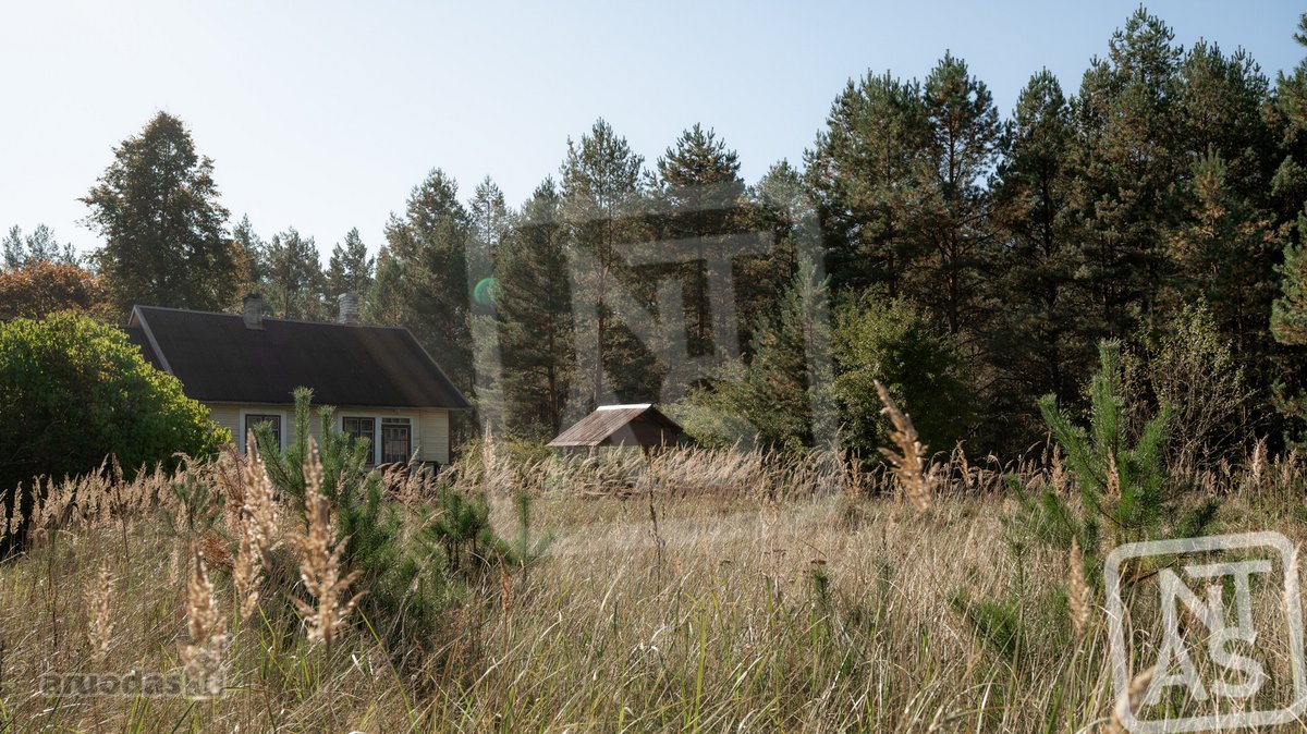 Itin Patogioje Vietoje, Kelio Vilnius - nuotraukos Nr. 14