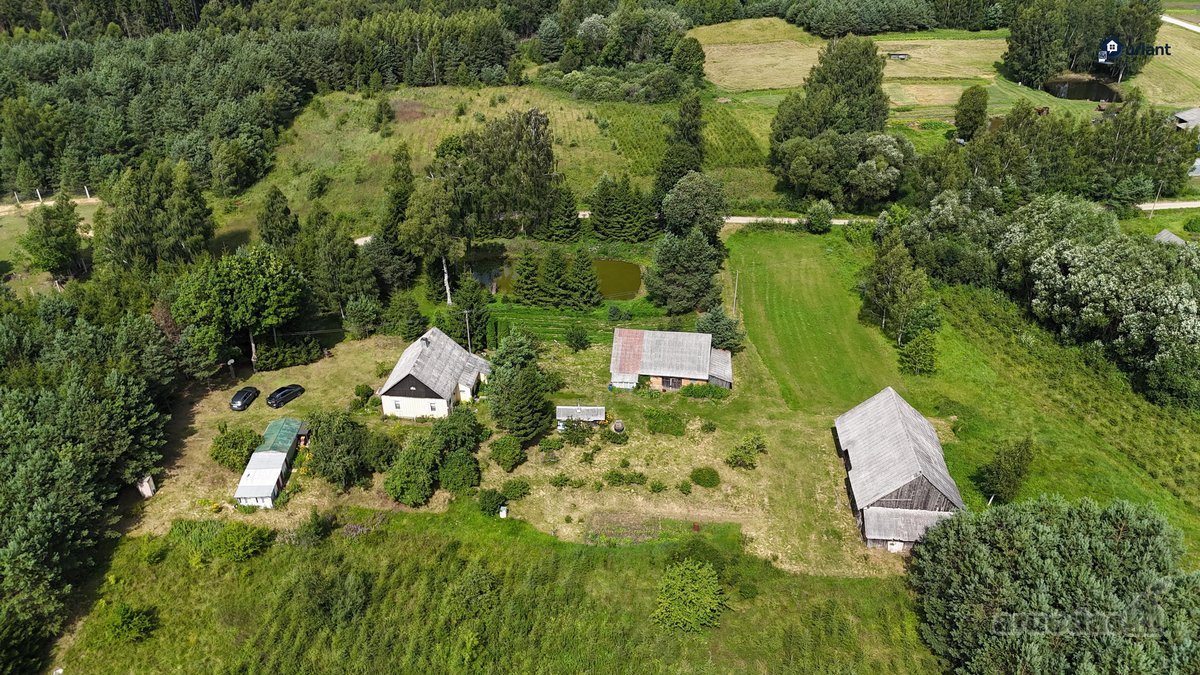 Išskirtinė Gamtos Apsupta Sodyba – Ramybė, - nuotraukos Nr. 5