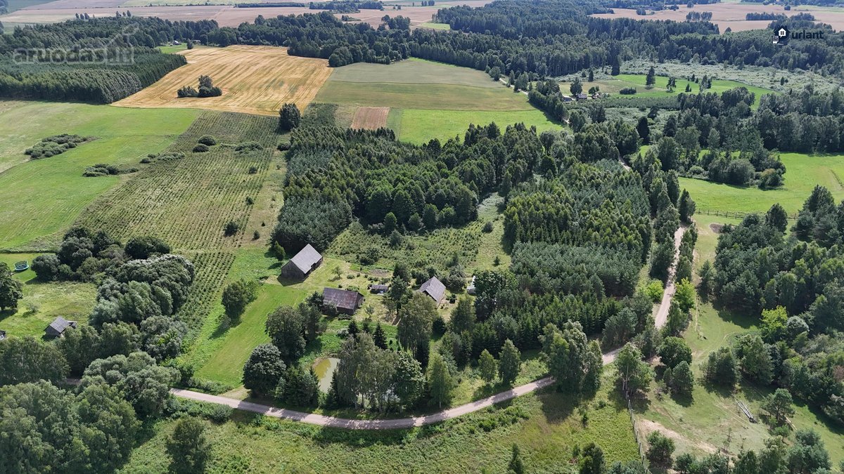 Išskirtinė Gamtos Apsupta Sodyba – Ramybė, - nuotraukos Nr. 7