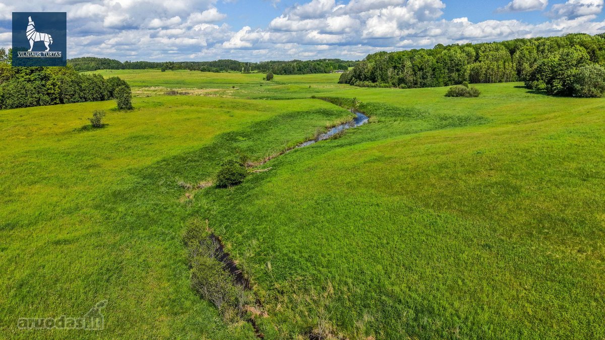 Parduodamas Erdvus 2.8919 Ha Žemės Sklypas - nuotraukos Nr. 14
