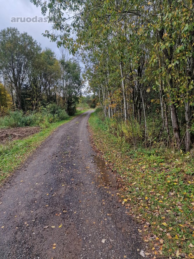 Sklypas soduose, aplinkui mažai apgyvendinta, - nuotraukos Nr. 3
