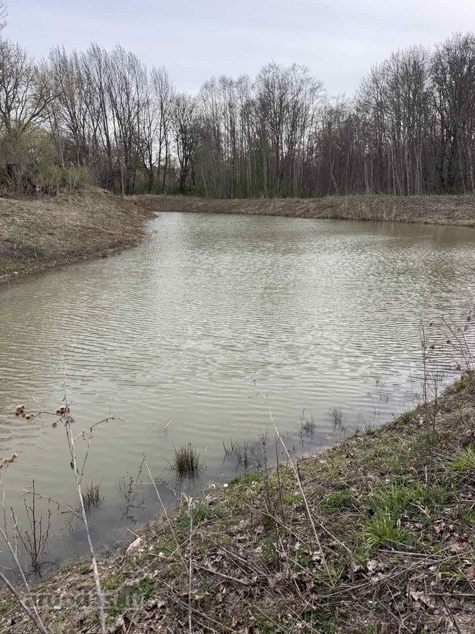 Parduodamas išskirtinis 2,32 ha sklypas su - nuotraukos Nr. 20