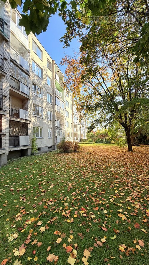 Išnuomojamas Ką Tik Po Kapitalinio Remonto - nuotraukos Nr. 19