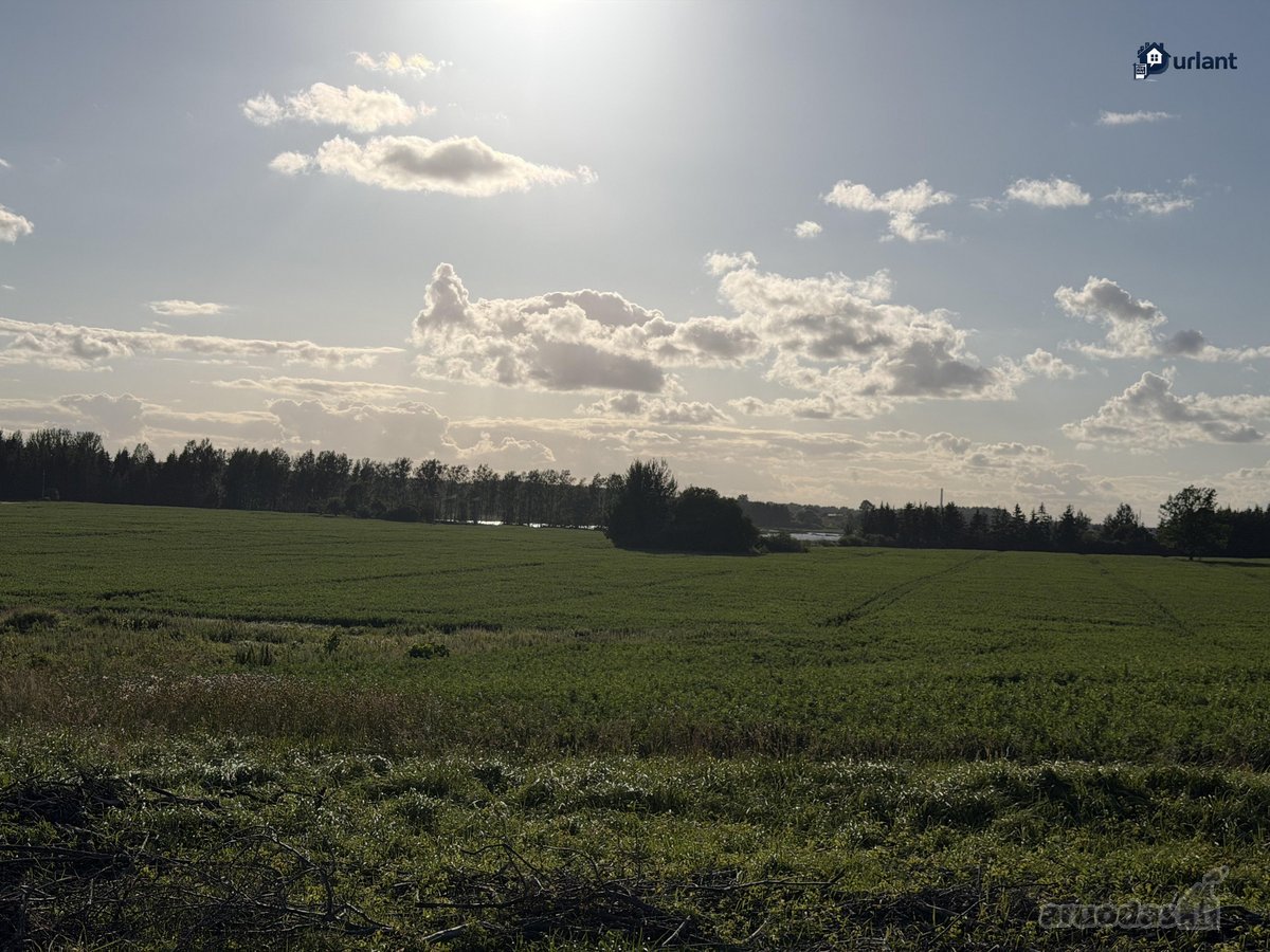 Šiaulių r. sav., Ginkūnų sen., Malavėniukų k. - nuotraukos Nr. 19