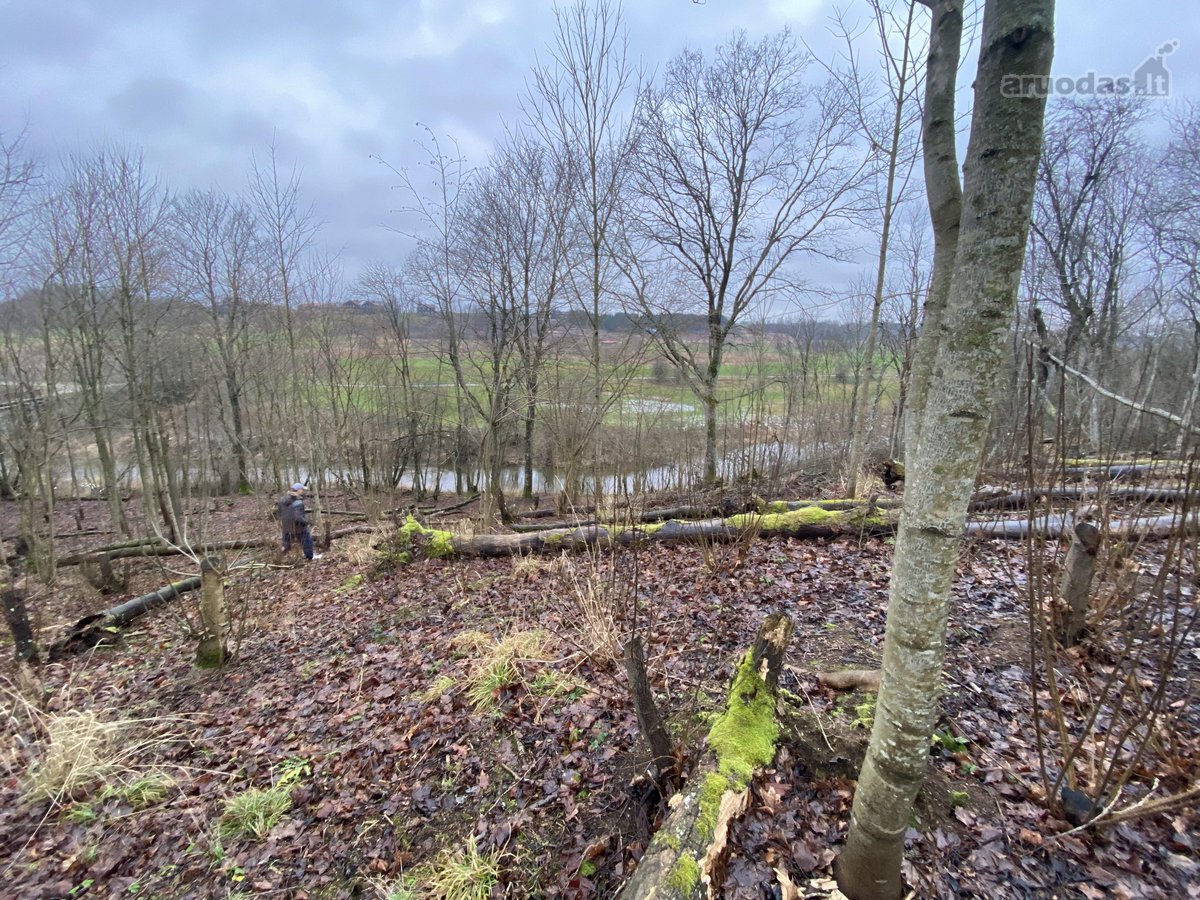 Namų valdos sklypas šalia Golfo laukų. 10 a. - nuotraukos Nr. 8