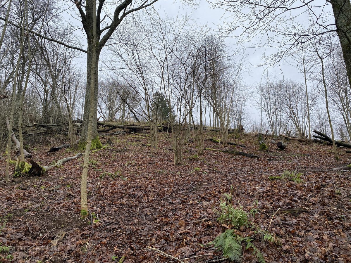 Namų valdos sklypas šalia Golfo laukų. 10 a. - nuotraukos Nr. 9