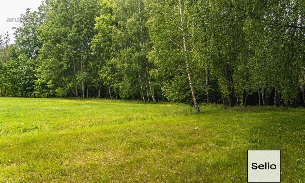  – Nt ekspertai be procentų - nuotraukos Nr. 29