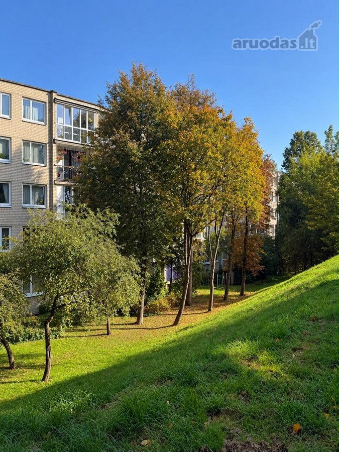 Šviesus ir šiuolaikiškas studio butas - nuotraukos Nr. 11