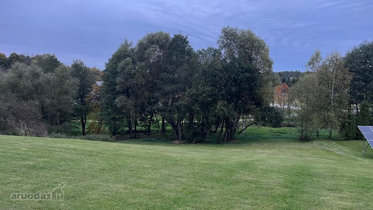 Parduodamas rąstinis gyvenamasis namas su 20 - nuotraukos Nr. 6