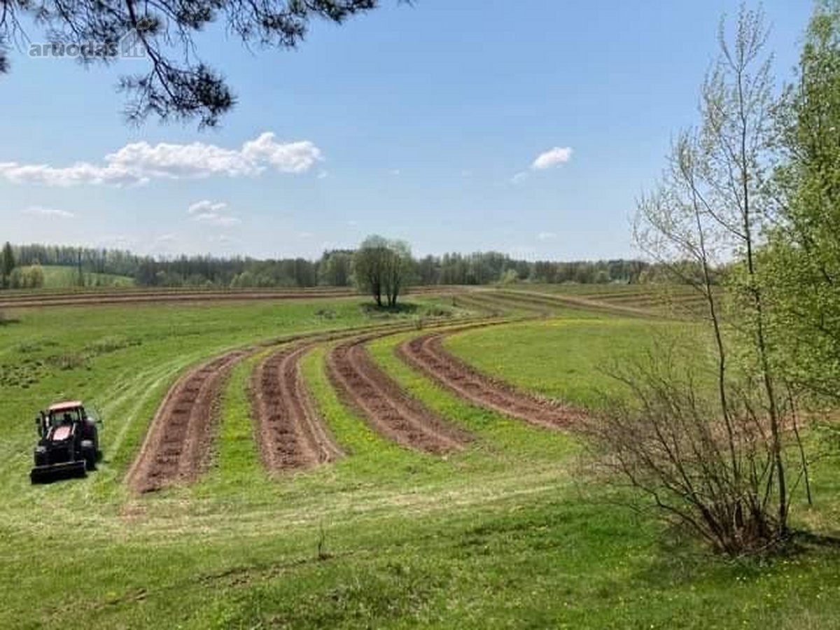 Parduodamas 30 hektarų žemes sklypas, obuolių - nuotraukos Nr. 2