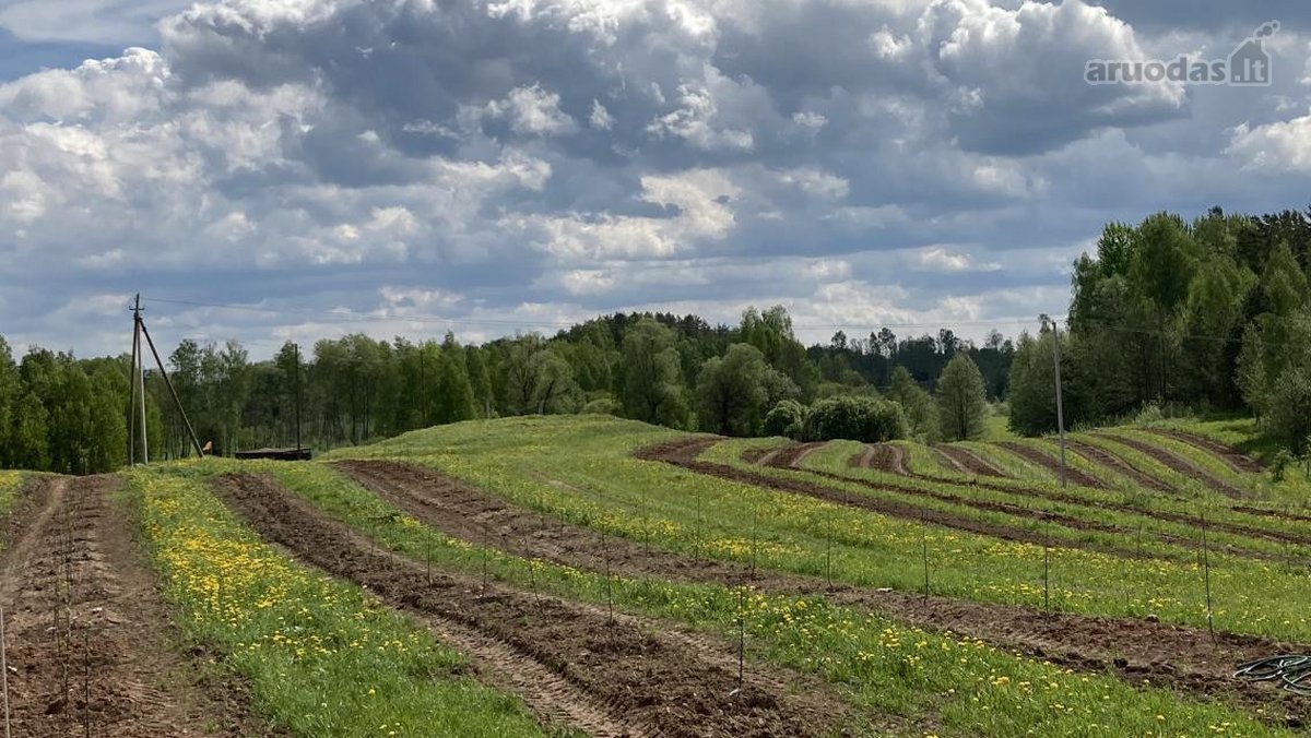 Parduodamas 30 hektarų žemes sklypas, obuolių - nuotraukos Nr. 11