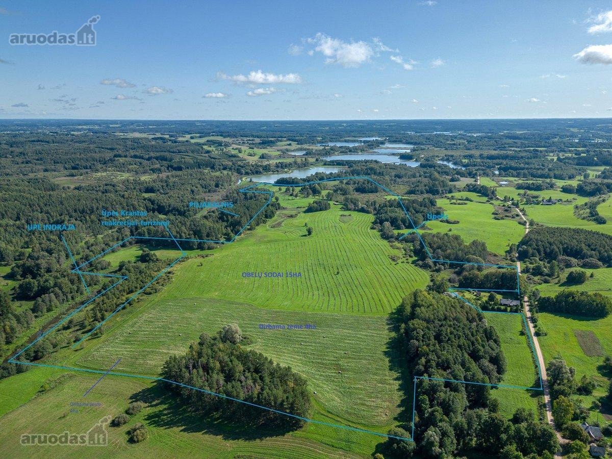 Parduodamas 30 hektarų žemes sklypas, obuolių - nuotraukos Nr. 15