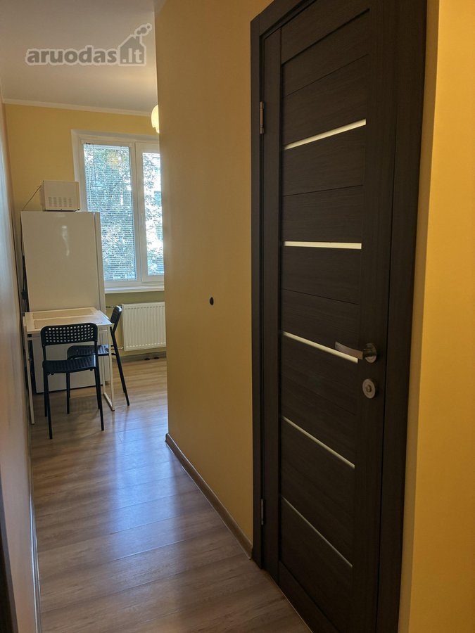 Nuomojamas jaukus vieno kambario butas su - nuotraukos Nr. 8