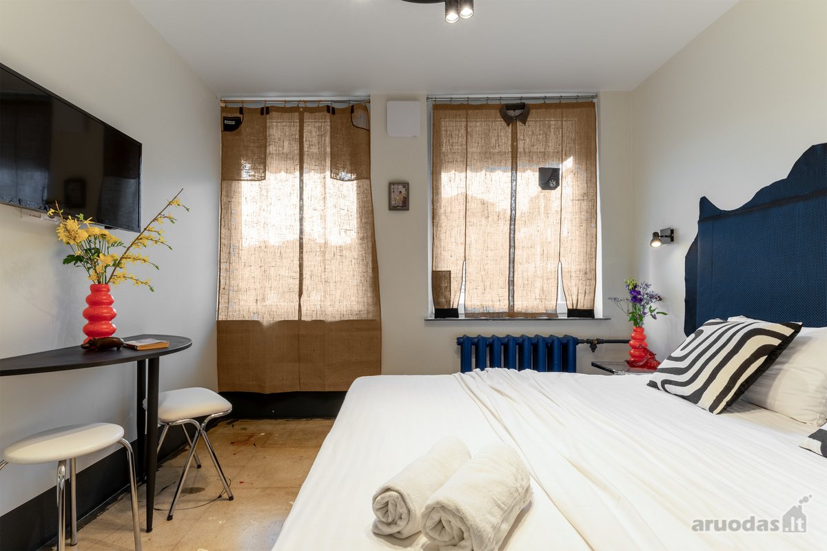 Išskirtinė Investicinė Galimybė Vilniaus - nuotraukos Nr. 12
