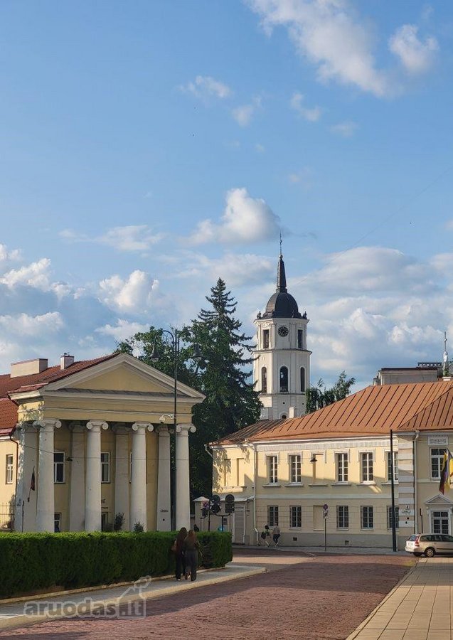 Nuomojamas labai jaukus butas-studija - nuotraukos Nr. 9