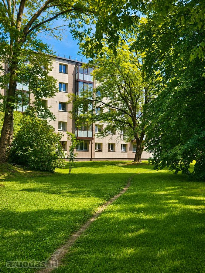 Pačiame miesto centre (minutė pėstute iki - nuotraukos Nr. 26