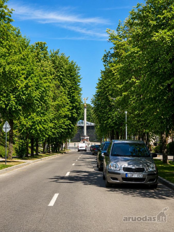 Pačiame miesto centre (minutė pėstute iki - nuotraukos Nr. 30