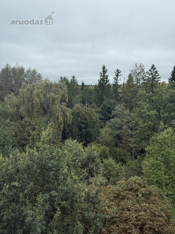 Parduodamas Erdvus Neįrengtas Butas - nuotraukos Nr. 6