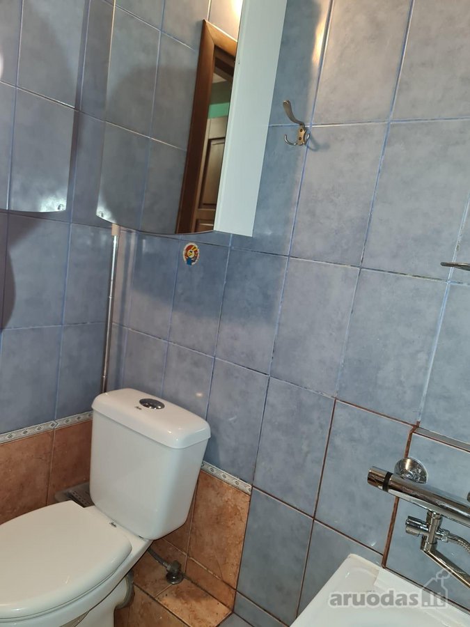 Alytaus m. sav., Alytaus m., Putinai - nuotraukos Nr. 10