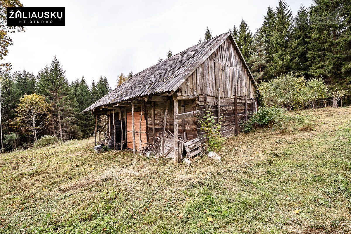 Kelmės r., Jadvygavos k. 6 parduodama graži - nuotraukos Nr. 11