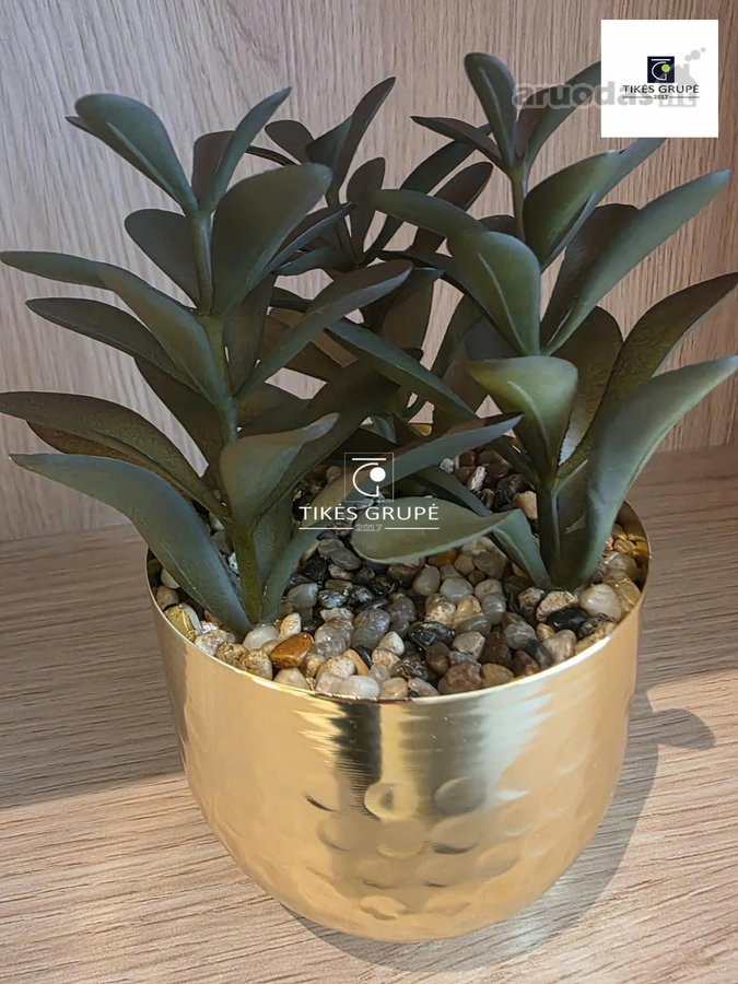 Parduodamas Naujai Suremontuotas 3 Kambarių - nuotraukos Nr. 15