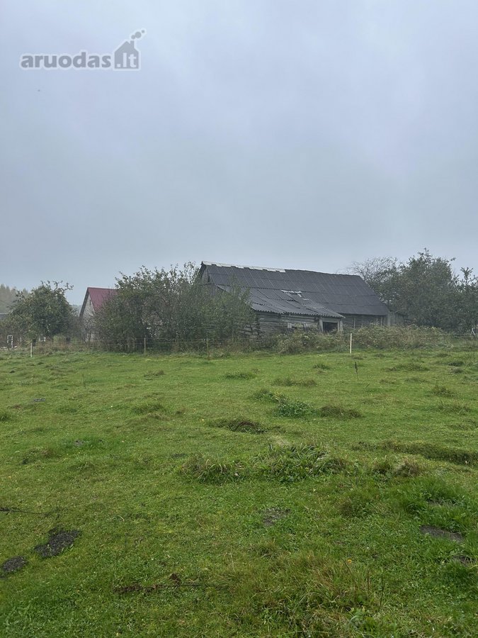 Parduodamas mūrinis, baltų silikatinių plytų, - nuotraukos Nr. 17