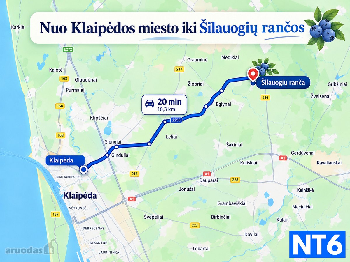 Perspektyvus Šilauogių Ūkis – 3,85 Ha Sklypas - nuotraukos Nr. 3