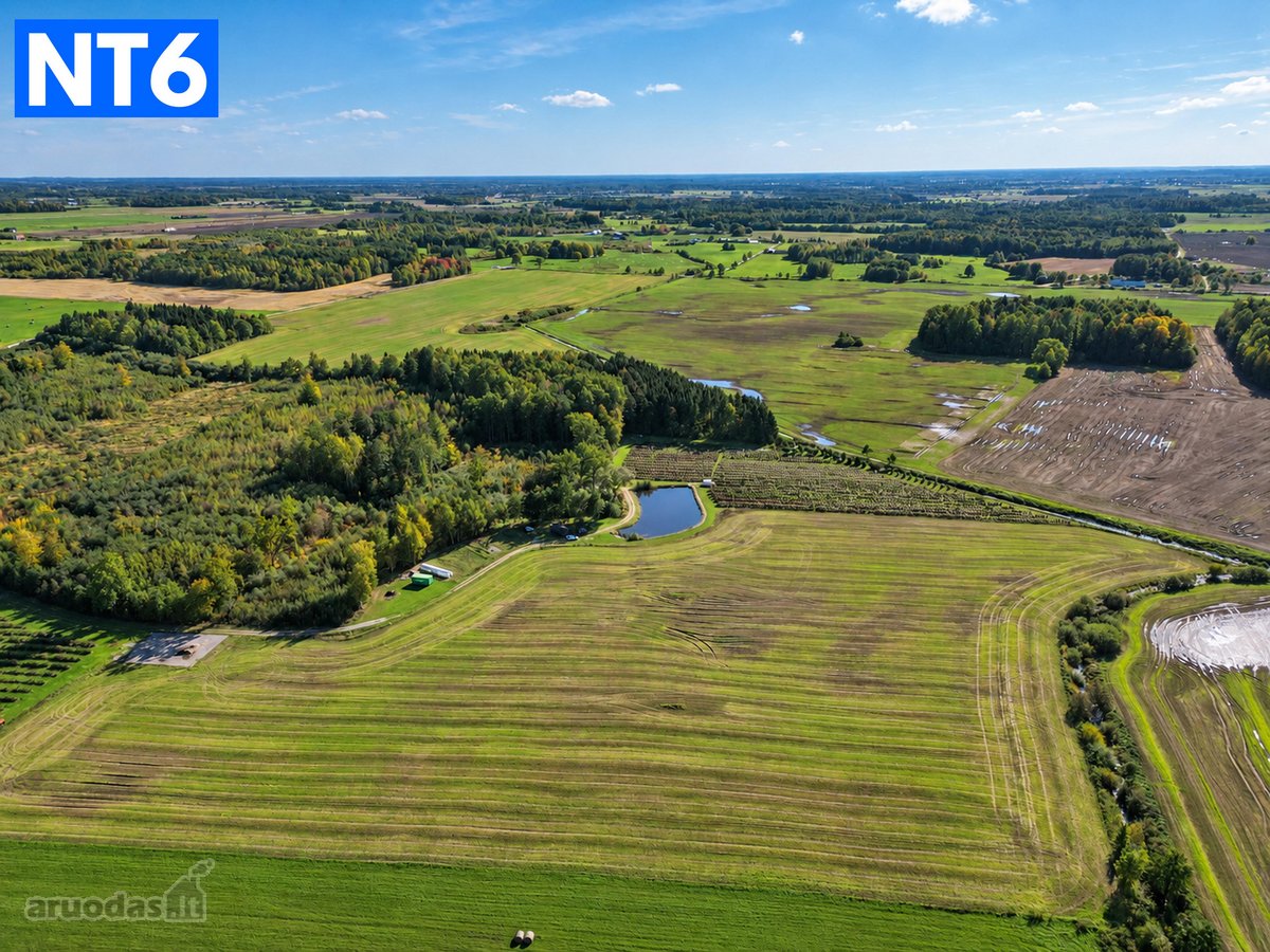 Perspektyvus Šilauogių Ūkis – 3,85 Ha Sklypas - nuotraukos Nr. 4