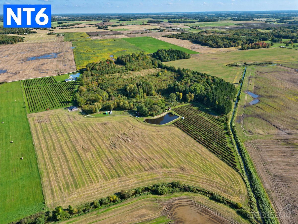 Perspektyvus Šilauogių Ūkis – 3,85 Ha Sklypas - nuotraukos Nr. 2