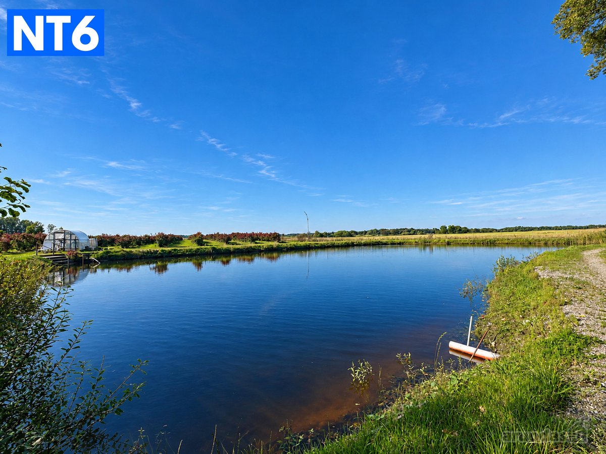 Perspektyvus Šilauogių Ūkis – 3,85 Ha Sklypas - nuotraukos Nr. 17