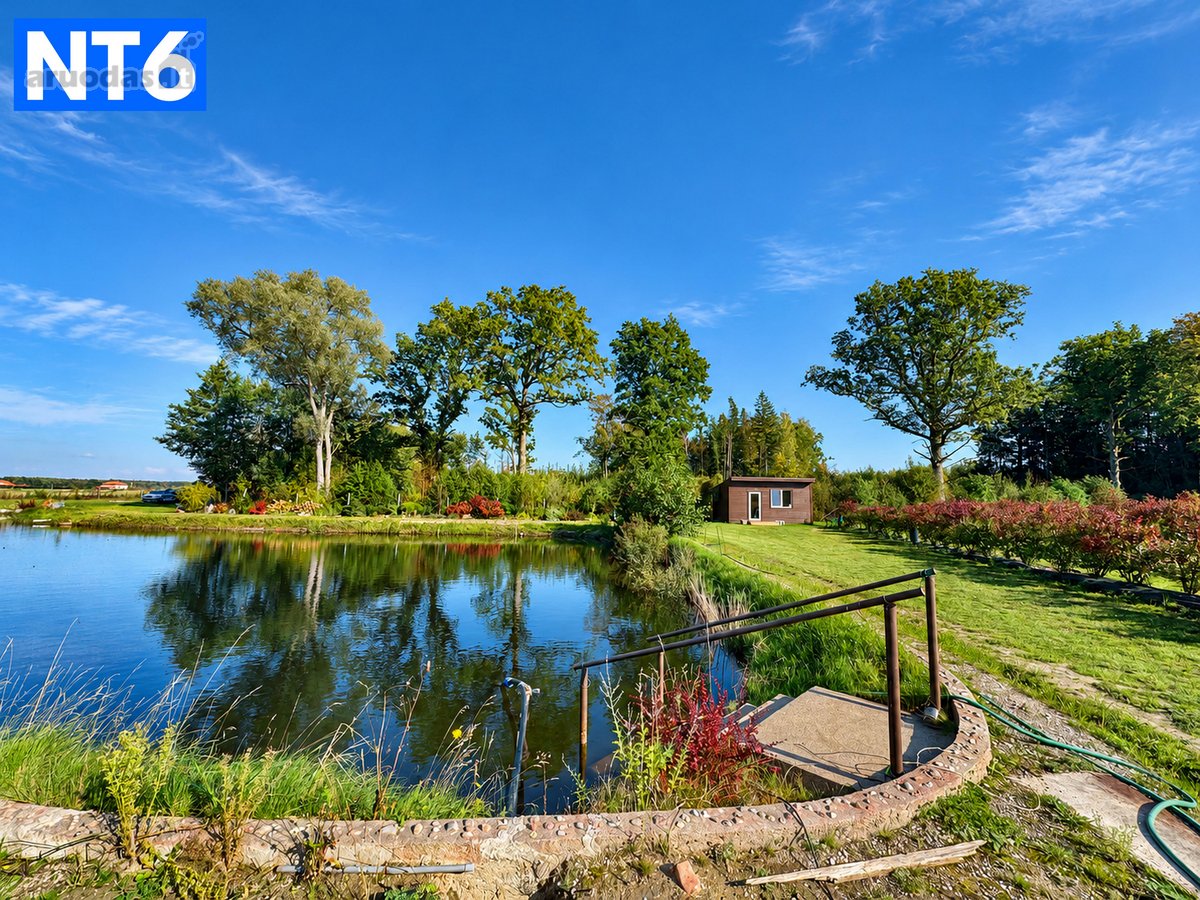 Perspektyvus Šilauogių Ūkis – 3,85 Ha Sklypas - nuotraukos Nr. 10