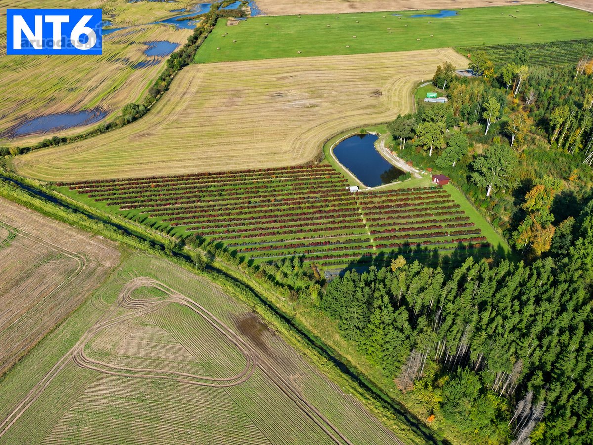 Perspektyvus Šilauogių Ūkis – 3,85 Ha Sklypas - nuotraukos Nr. 5