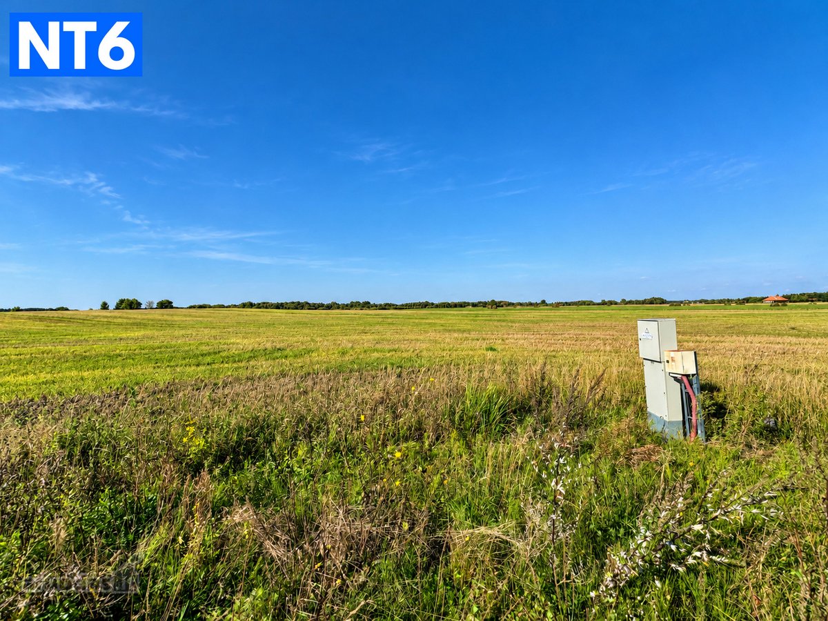 Perspektyvus Šilauogių Ūkis – 3,85 Ha Sklypas - nuotraukos Nr. 19