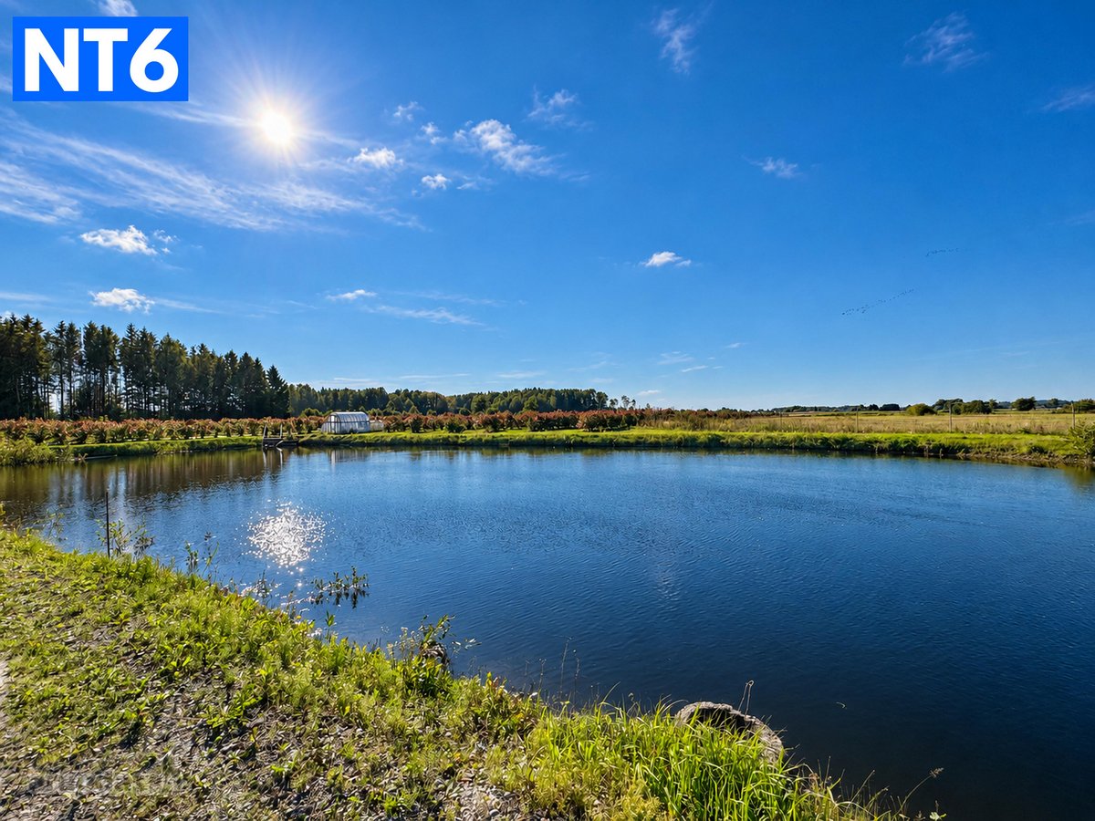 Perspektyvus Šilauogių Ūkis – 3,85 Ha Sklypas - nuotraukos Nr. 18