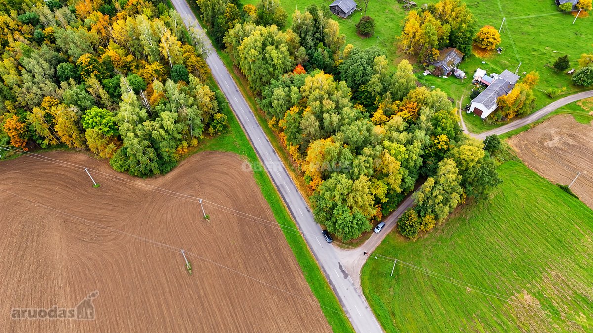 Parduodamas 42 arų žemės sklypas Viršužiglio - nuotraukos Nr. 3