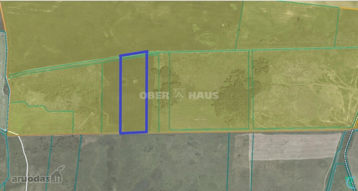 Parduodamas 3,2957 ha žemės ūkio paskirties - nuotraukos Nr. 3