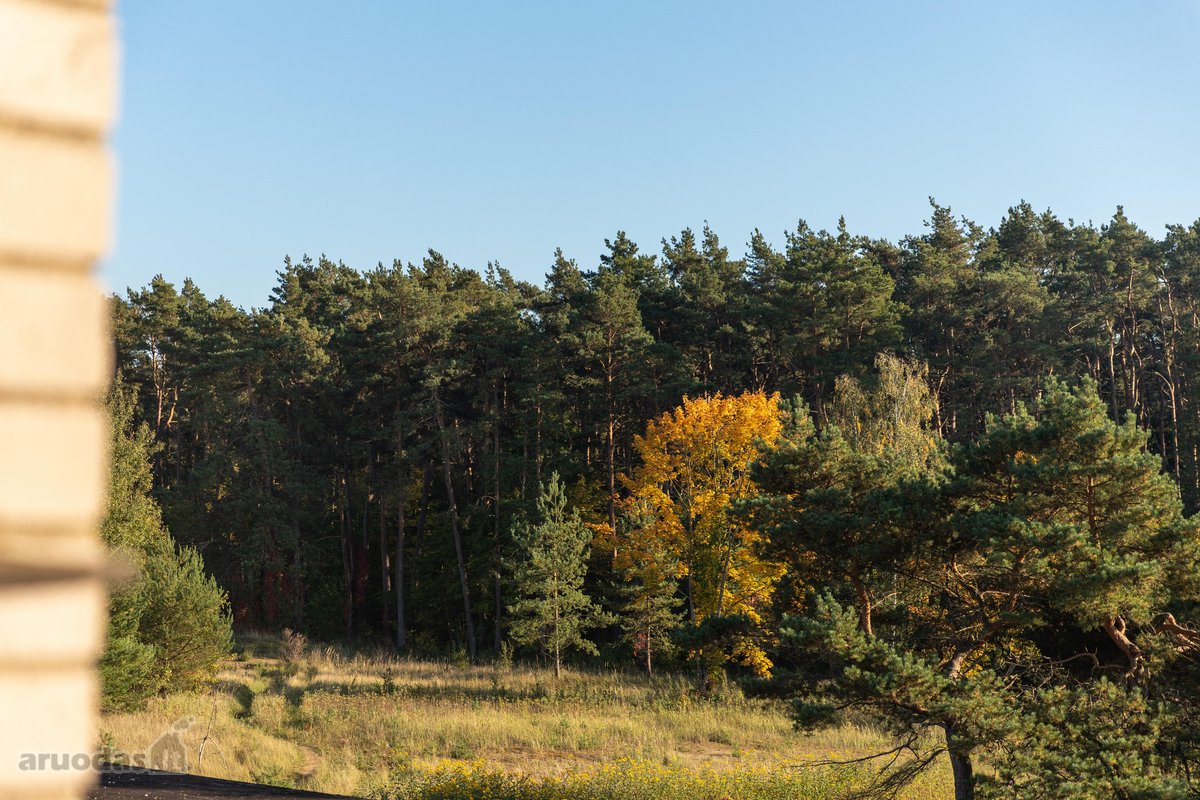 Erdvus 4 Kambarių Butas Prie Miško – - nuotraukos Nr. 15