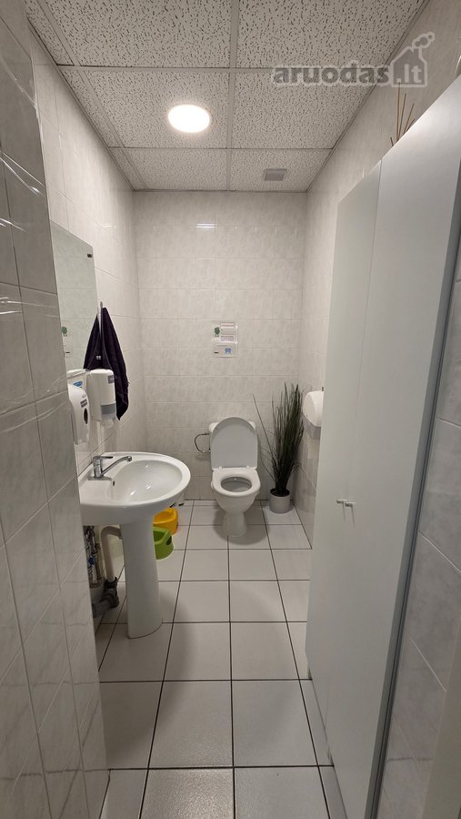 Lanksčios Nuomos Sąlygos: - nuotraukos Nr. 11