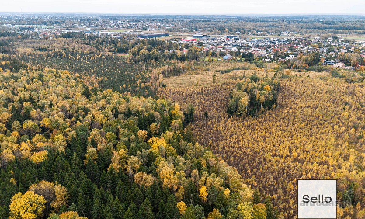  – Nt ekspertai be procentų - nuotraukos Nr. 24