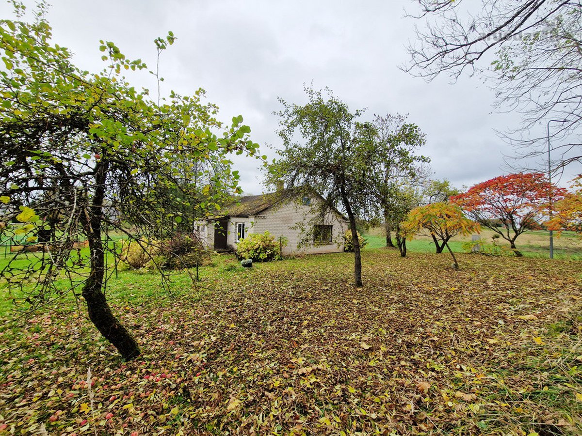 Jaukiame Ežerų, Miškų Ir Kalvų Apsuptame - nuotraukos Nr. 6