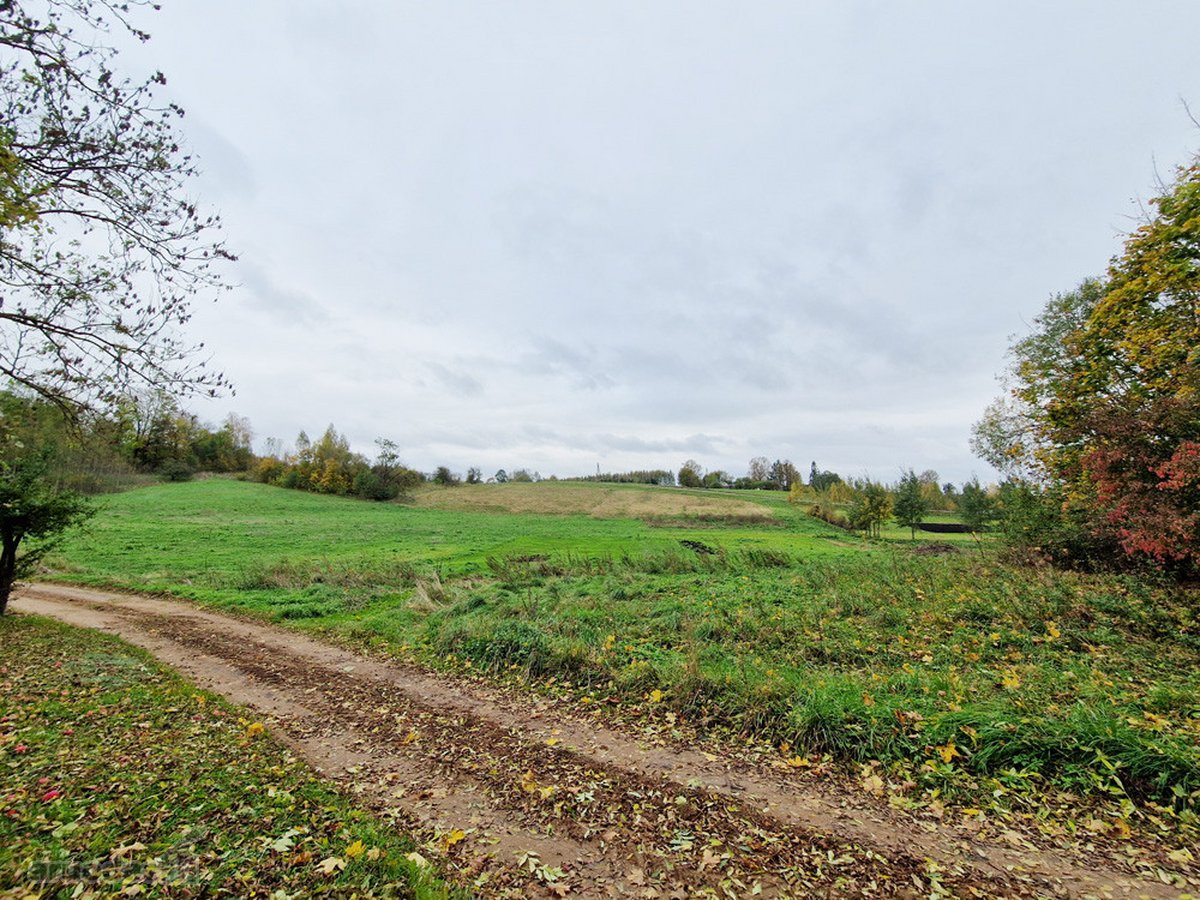 Jaukiame Ežerų, Miškų Ir Kalvų Apsuptame - nuotraukos Nr. 16