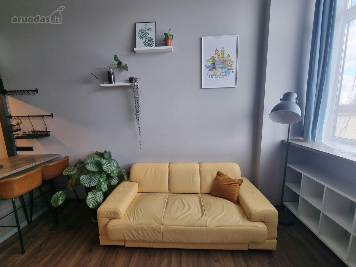Nuomojamas pilnai įrengtas loftas. - nuotraukos Nr. 2