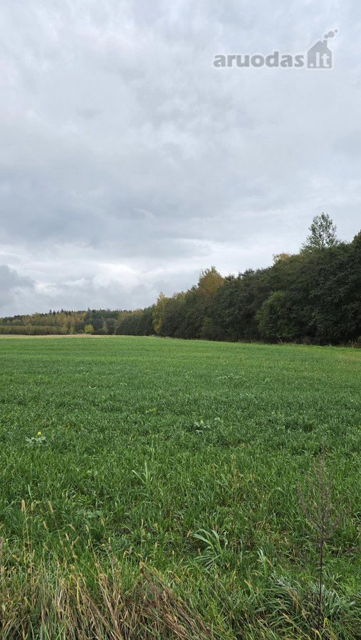 Parduodamas namų valdos sklypas, nuostabioje - nuotraukos Nr. 3