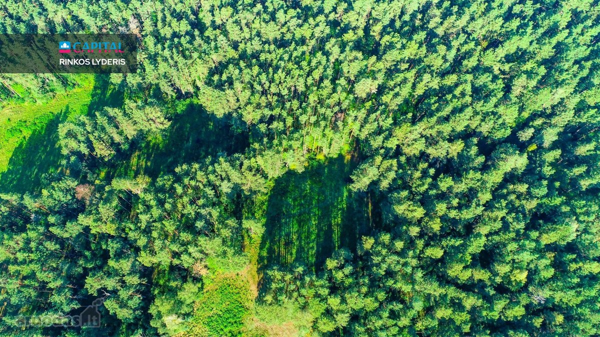 Parduodamas Žemės Sklypas Druskininkuose, - nuotraukos Nr. 6