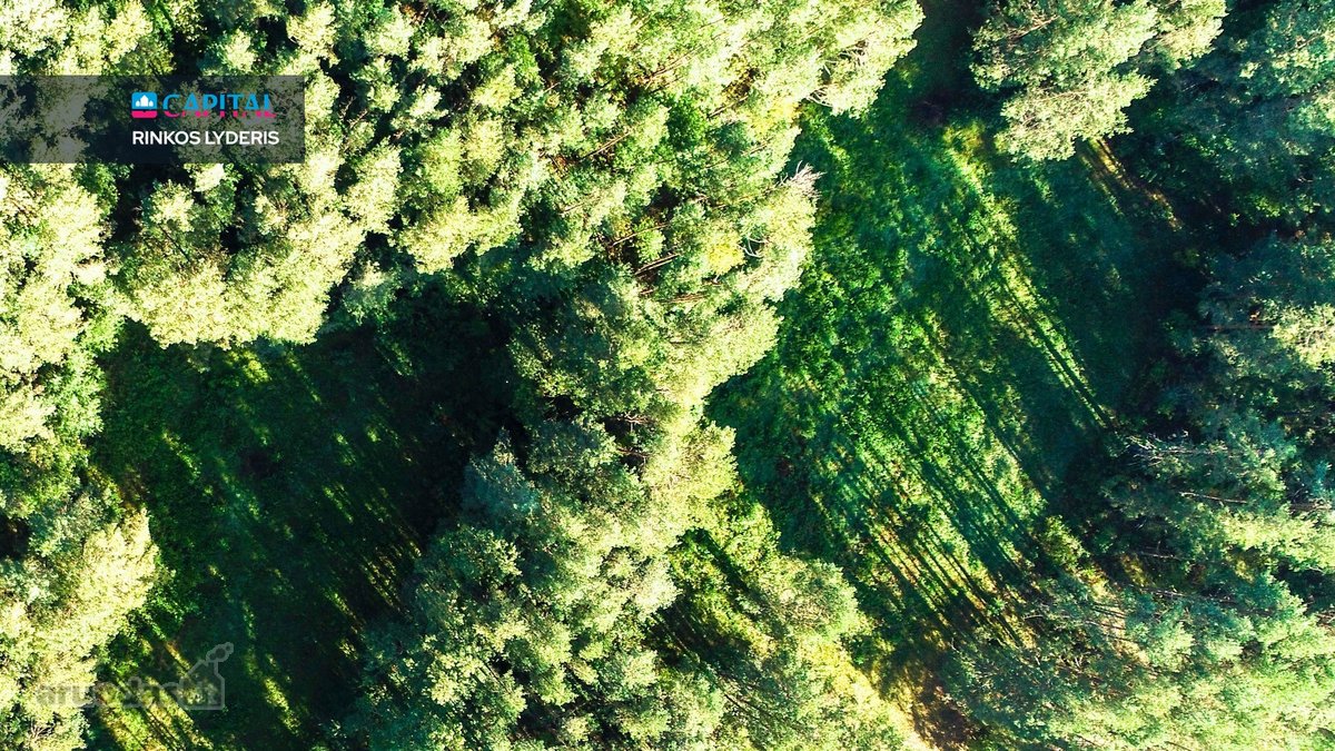 Parduodamas Žemės Sklypas Druskininkuose, - nuotraukos Nr. 7