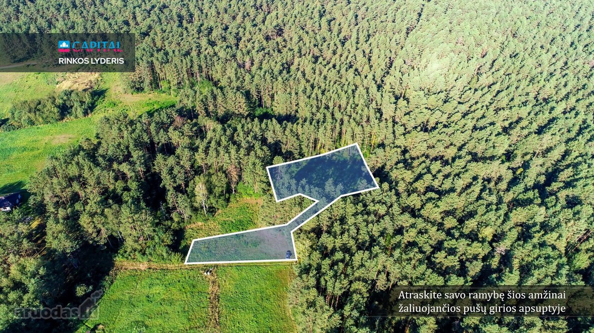 Parduodamas Žemės Sklypas Druskininkuose, - nuotraukos Nr. 3