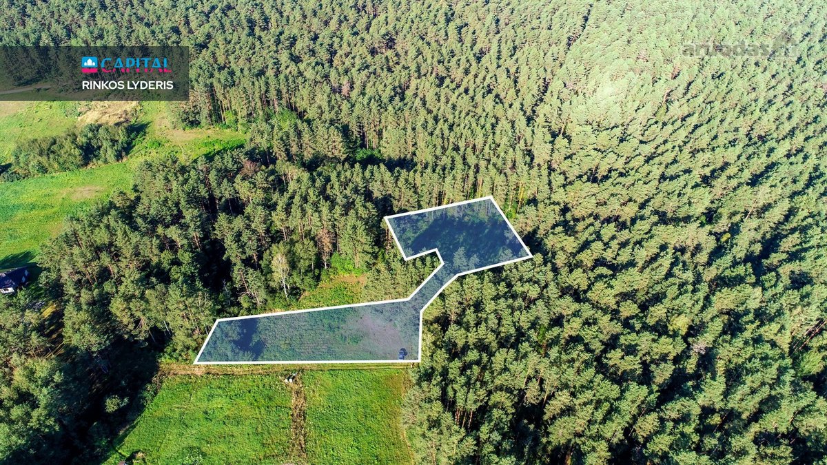 Parduodamas Žemės Sklypas Druskininkuose, - nuotraukos Nr. 4